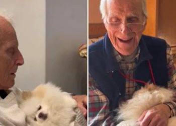 86 yaşındaki yalnız adama patili sürpriz: Dostlukları fenomen oldu