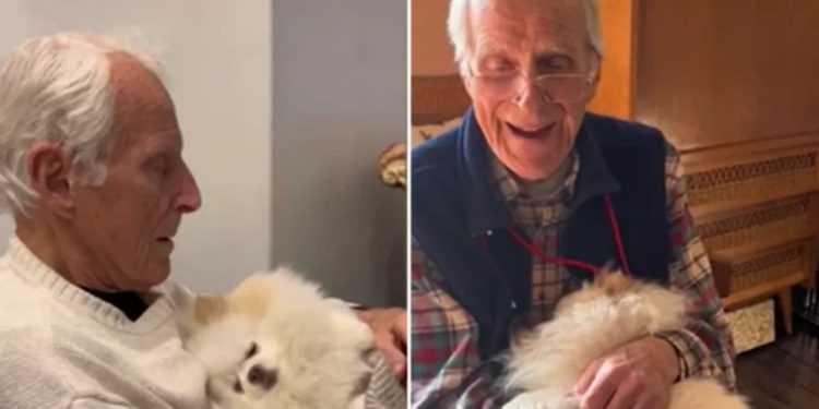 86 yaşındaki yalnız adama patili sürpriz: Dostlukları fenomen oldu