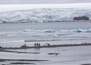 Antarktika’da rekor sıcaklık