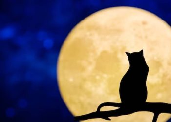 Bilimsel ve Astrolojik Anlamda Güneş ve Ay Tutulması Arasındaki Fark Nedir?