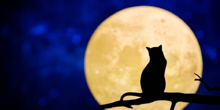 Bilimsel ve Astrolojik Anlamda Güneş ve Ay Tutulması Arasındaki Fark Nedir?