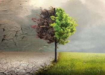 Dünya alarm veriyor, köprüden önce son çıkış 
 Kuraklık, yangınlar, aşırı deniz olayları çok daha sert