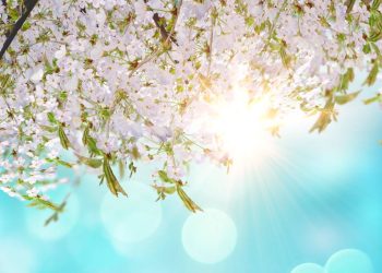 Havalar ısınacak mı? Havalar ne zaman ısınacak? Hava sıcaklıkları kaç derece olacak? SON DAKİKA Meteoroloji uyardı