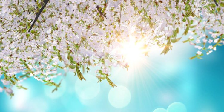 Havalar ısınacak mı? Havalar ne zaman ısınacak? Hava sıcaklıkları kaç derece olacak? SON DAKİKA Meteoroloji uyardı