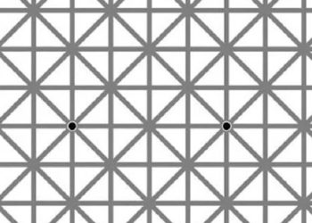 İmkansızı başarırım diyenlere göre bir optik illüzyon: Desendeki 12 noktayı aynı anda görmek imkansız!