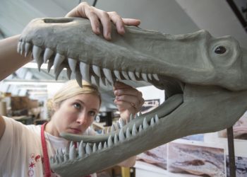 Kanada’da 11 milyon yıllık ‘ölüm meleği’ fosili bulundu