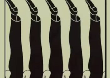 Kişiliğinizi ayakkabılardan öğrenin: Ayakkabılardan hangisini önce gördünüz? Bu ayakkabı sizin kişiliğinizi söylüyor!