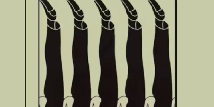 Kişiliğinizi ayakkabılardan öğrenin: Ayakkabılardan hangisini önce gördünüz? Bu ayakkabı sizin kişiliğinizi söylüyor!