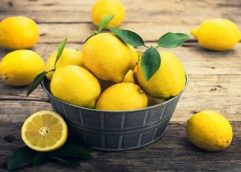 Kışın mucizevi meyvesi” limon” :  Yatarken ayak tabanına sürülen limonun ne gibi etkileri var?