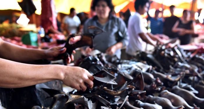 Koronavirüs salgını Endonezya’da yarasa eti satışlarını etkilemedi
