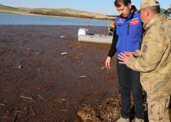 Şanlıurfa’da sele kapılan TIR sürücüsü halen bulunamadı