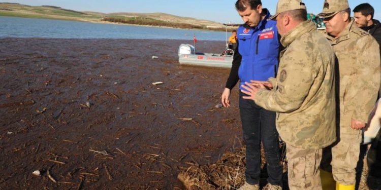 Şanlıurfa’da sele kapılan TIR sürücüsü halen bulunamadı