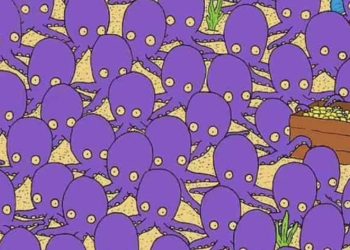 Yalnızca yüksek IQ seviyesine sahip olanlar 12 saniyede ahtapotlar arasındaki balığı buluyor: Balık nerede gizli?