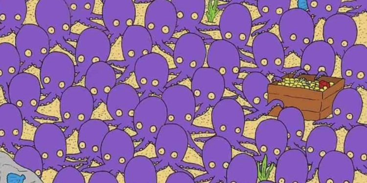 Yalnızca yüksek IQ seviyesine sahip olanlar 12 saniyede ahtapotlar arasındaki balığı buluyor: Balık nerede gizli?