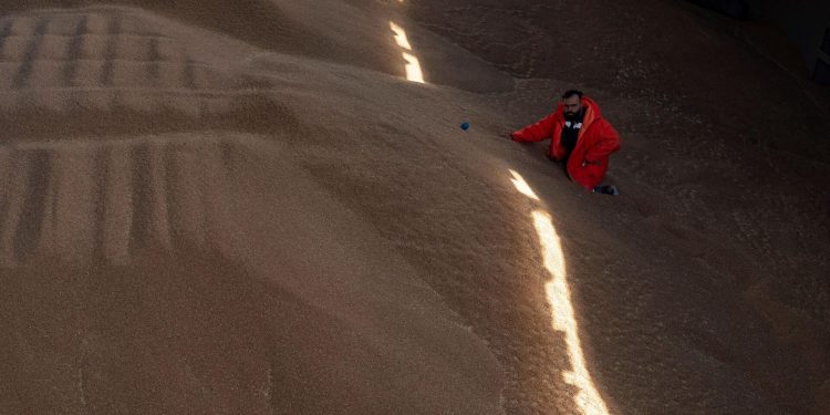 Anlaşmanın sona ermesi ile Ukrayna’nın tahıl ihracatından elde ettiği gelir yarı yarıya düştü