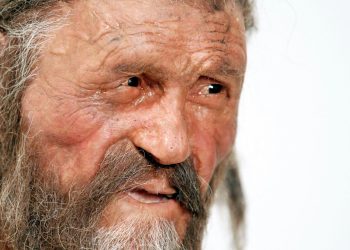 Buz adam Ötzi’nin atalarının Anadolu’dan geldiği ortaya çıktı