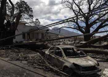 Hawaii’de orman yangını: Hayatını kaybedenlerin sayısı 93’e çıktı