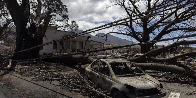 Hawaii’de orman yangını: Hayatını kaybedenlerin sayısı 93’e çıktı