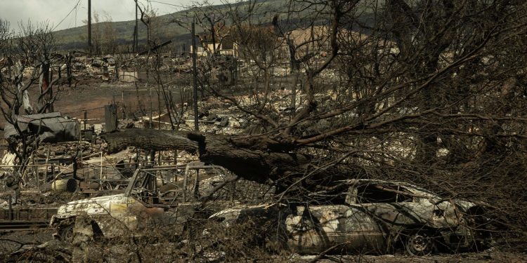 Hawaii’deki yangında ölü sayısı 106’ya yükseldi: 3 binden fazla evcil hayvan da kayıp