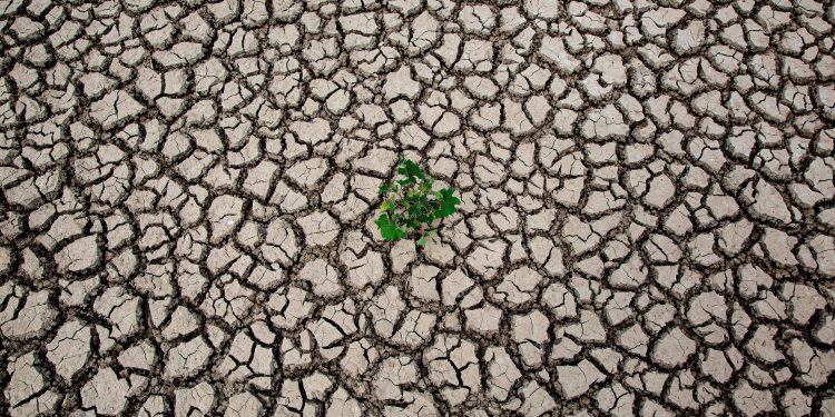 İspanya’nın bazı kesimlerinde kuraklık nedeniyle acil durum ilan edildi