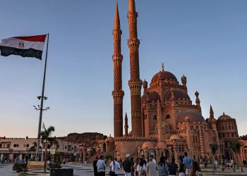 Mısır: Rus tahıl alımını artırmayı ve bunu komşu ülkelere ihraç etmeyi planlıyoruz