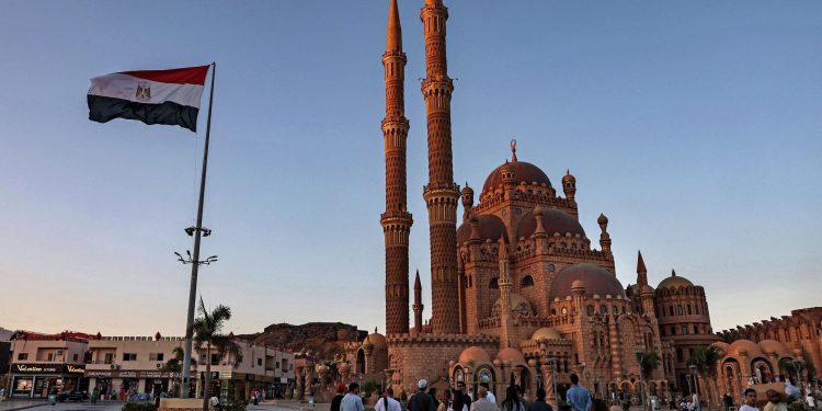 Mısır: Rus tahıl alımını artırmayı ve bunu komşu ülkelere ihraç etmeyi planlıyoruz