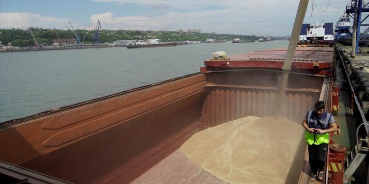 Rusya: ABD tarafı Karadeniz Tahıl Girişimi konusunda gerçek durumu gizliyor