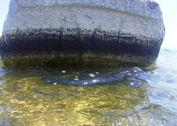 Van Gölü’nde Kayı tamgalı ve haç işaretli taşlar bulundu