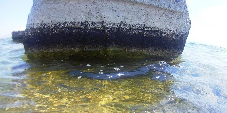 Van Gölü’nde Kayı tamgalı ve haç işaretli taşlar bulundu