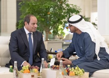 Sisi ile Al Nahyan, ‘iklim sorunları ile bölgesel ve uluslararası gelişmeleri’ görüştü