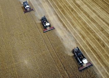 ‘Türkiye ve BM, Rusya için tahıl anlaşması ile ilgili teklifleri hazırlıyor’