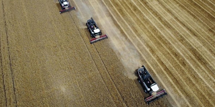 ‘Türkiye ve BM, Rusya için tahıl anlaşması ile ilgili teklifleri hazırlıyor’