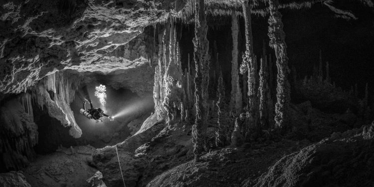 Kamera ile okyanusa dalan dalgıcın videosu panik yarattı: ‘Gece neler olduğunu bilemezsiniz’