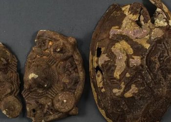 Kayıp küpe arayan aile bin yıllık Viking kalıntısı buldu