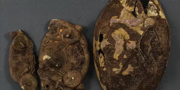 Kayıp küpe arayan aile bin yıllık Viking kalıntısı buldu