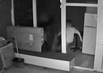 Yanında çalıştığı kuaförün kedisini dakikalarca darp etti