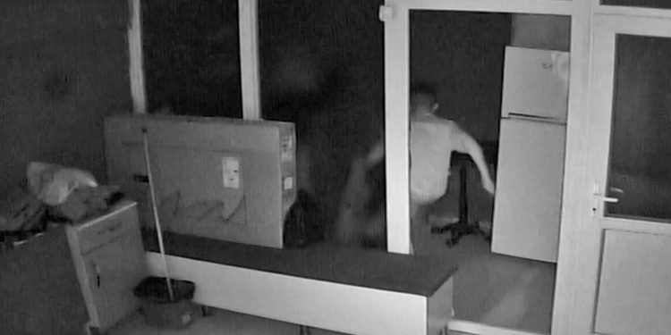 Yanında çalıştığı kuaförün kedisini dakikalarca darp etti